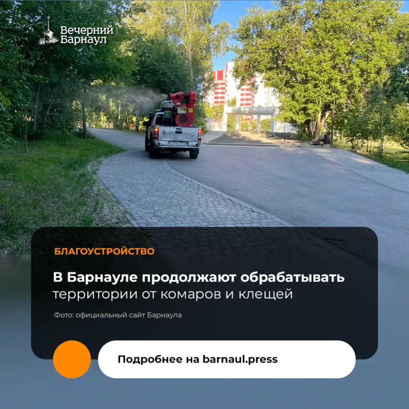 Уличные пространства Барнаула продолжают обрабатывать от кровососущих насекомых