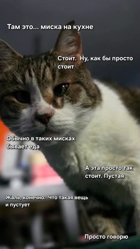 Доброе утро, Алтайский край