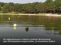 ������ ����� ������� �� �������� � ������ ���� � ��������� ����