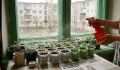 ������ ������� ������� ����� ��������� � ��� �� ������?