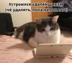 � ������� ������� ������, ��������� ����!