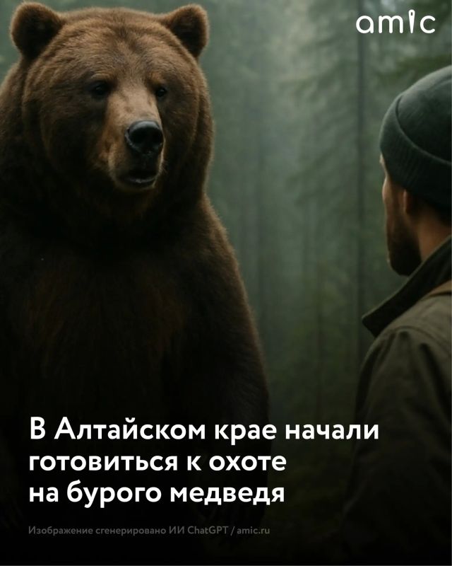 Алтайском крае с 7 июля начинается выдача разрешений на добычу бурого медведя