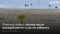 С начала года в регионе зарегистрировано 28 погибших на воде, из них девять детей, гласят данные пресс-службы Главного управления МЧС России по Алтайскому краю