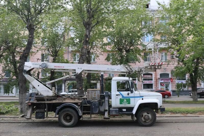 Асфальт снимается, деревья стригутся Асфальт снимается, деревья стригутся