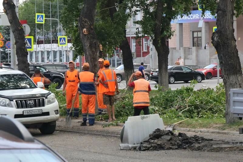 Асфальт снимается, деревья стригутся Асфальт снимается, деревья стригутся
