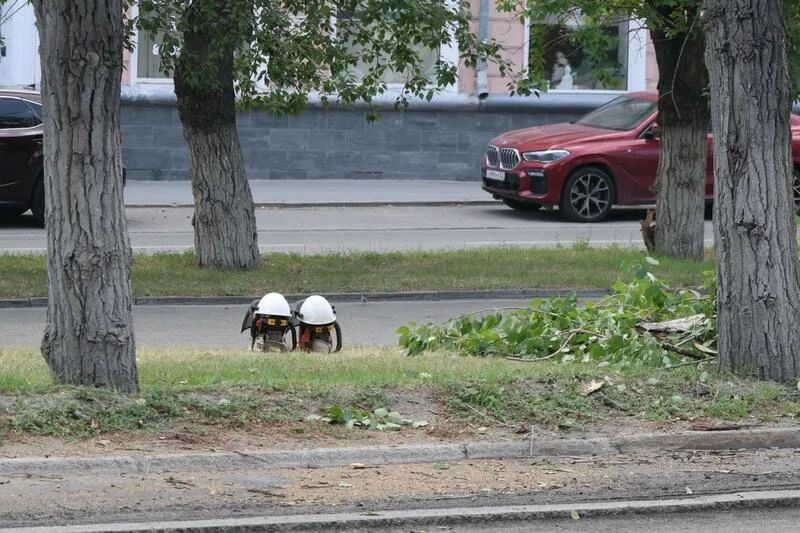 Асфальт снимается, деревья стригутся Асфальт снимается, деревья стригутся