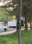 Агрессивный алабай убивает других животных в Барнауле