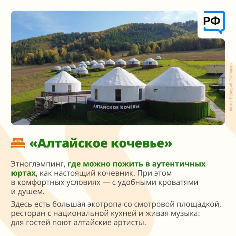 Кедры. Водопады. Снег. Луна. Цветы Кедры. Водопады. Снег. Луна. Цветы