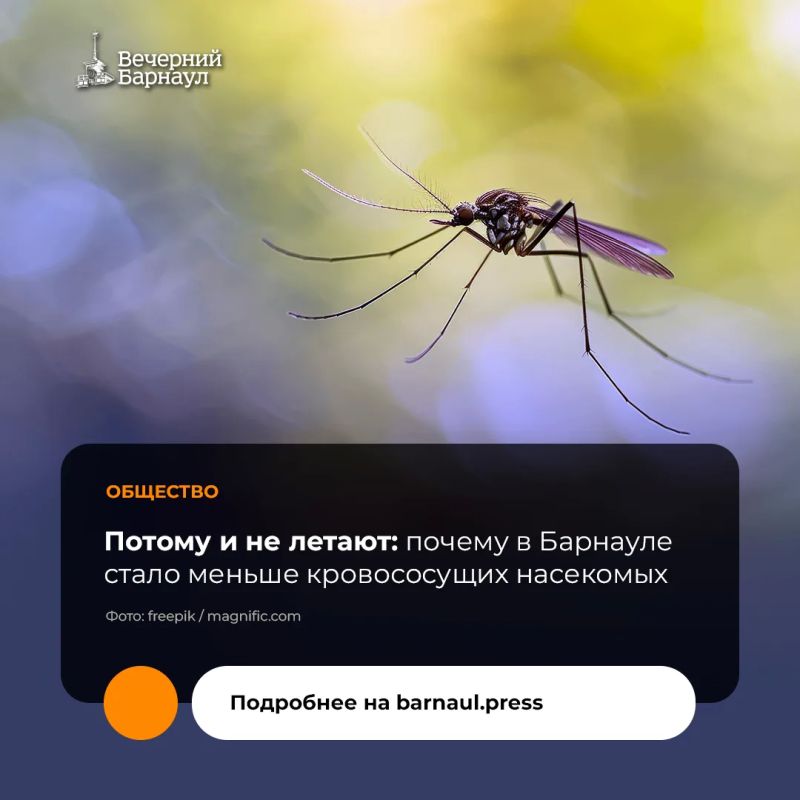 Традиционно тёплое время года становится серьёзным испытанием для жителей Сибири из-за обилия комаров и мошек