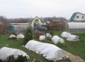 Зимняя защита волосатых красавиц: советы по укрытию роз