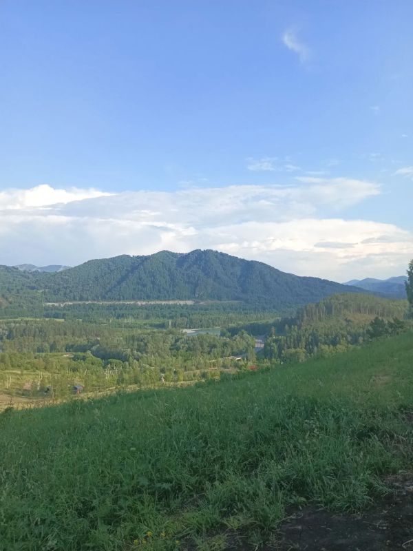 впечатлений!. В Алтайском районе детей ждут уже полюбившиеся лагеря и новый лагерь «Алтай»