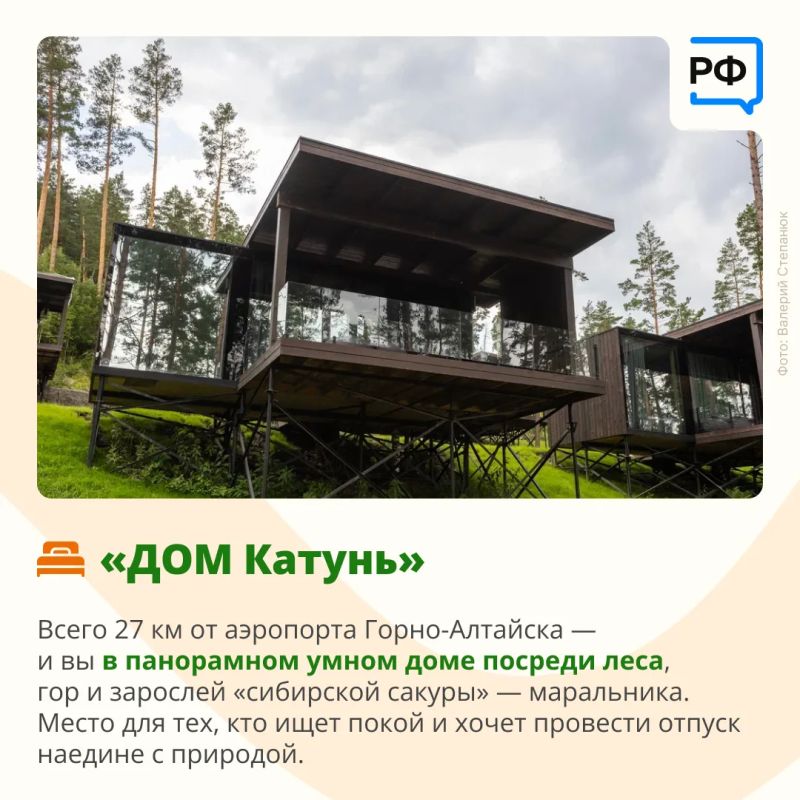 Кедры. Водопады. Снег. Луна. Цветы Кедры. Водопады. Снег. Луна. Цветы