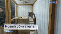 В Барнаульском зоопарке появился новый обитатель – очаровательный кошачий лемур