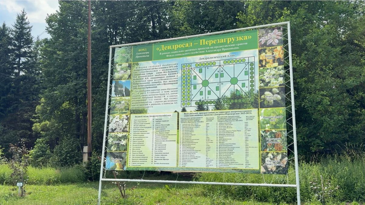 Юные натуралисты спасли детенышей утонувшей белки Юные натуралисты спасли детенышей утонувшей белки