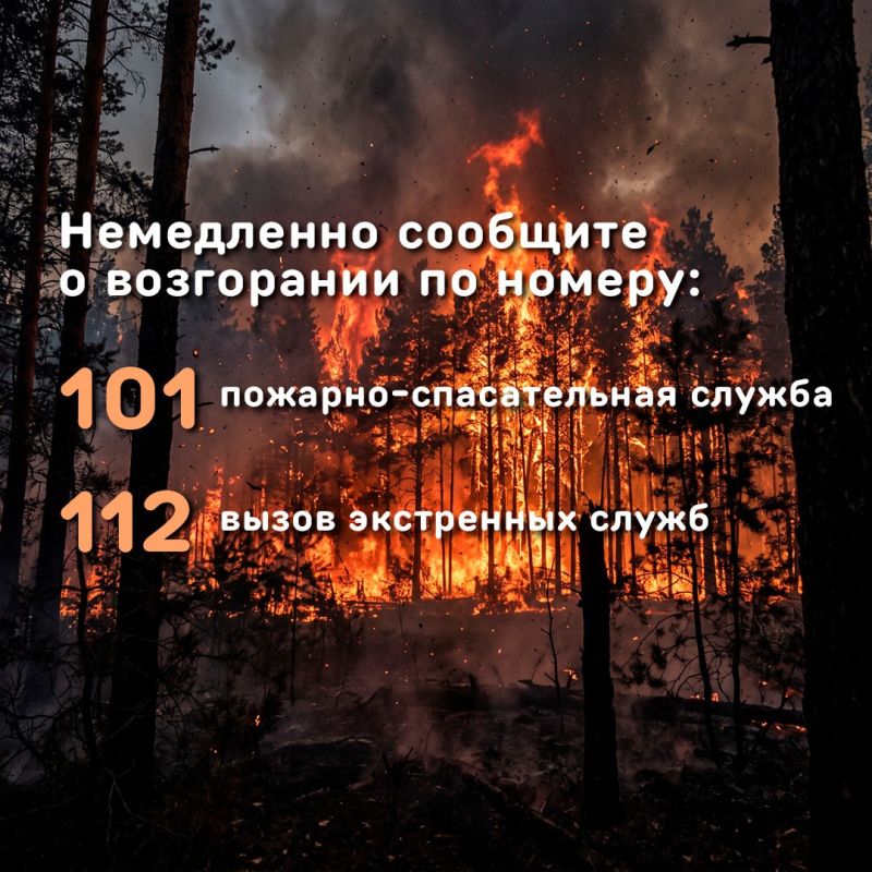 Два лесных пожара в Алтайском крае уже потушили, третий — локализовали Два лесных пожара в Алтайском крае уже потушили, третий — локализовали