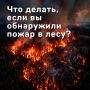 Два лесных пожара в Алтайском крае уже потушили, третий — локализовали