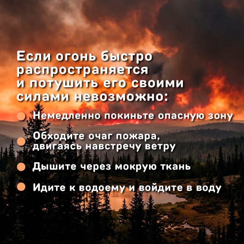 Два лесных пожара в Алтайском крае уже потушили, третий — локализовали Два лесных пожара в Алтайском крае уже потушили, третий — локализовали
