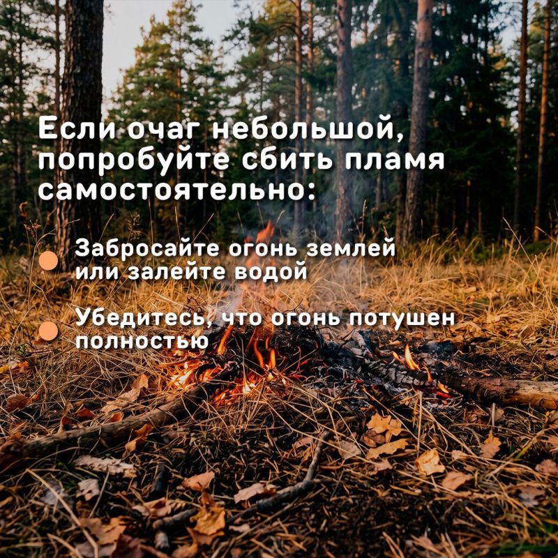 Два лесных пожара в Алтайском крае уже потушили, третий — локализовали Два лесных пожара в Алтайском крае уже потушили, третий — локализовали