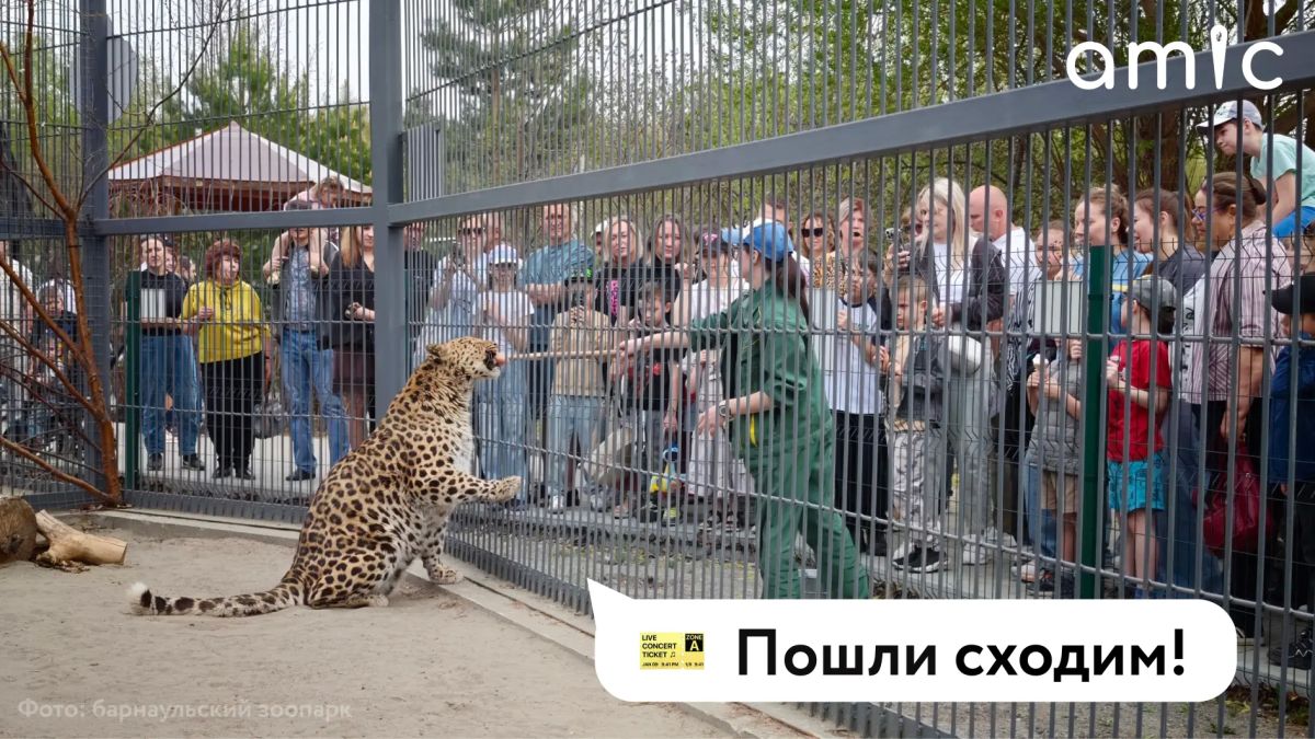 Наконец-то выходные! Пора придумать, чем бы заняться в Барнауле, рассказываем: