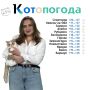 Знакомьтесь с новыми ведущими «Котопогоды» на телеканале «Катунь 24»! На этой неделе за атмосферу за окном отвечают маркетолог Вероника Маткова и её очаровательный напарник Лютик