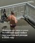 Барнауле июнь 2026 года побил все прежние температурные рекорды