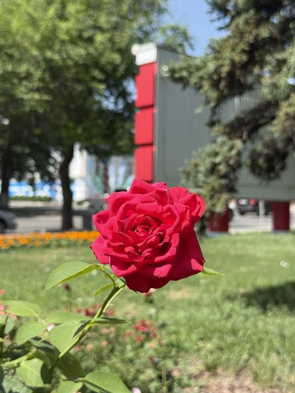 Сегодня нас ждет жаркий день с кратковременными дождями