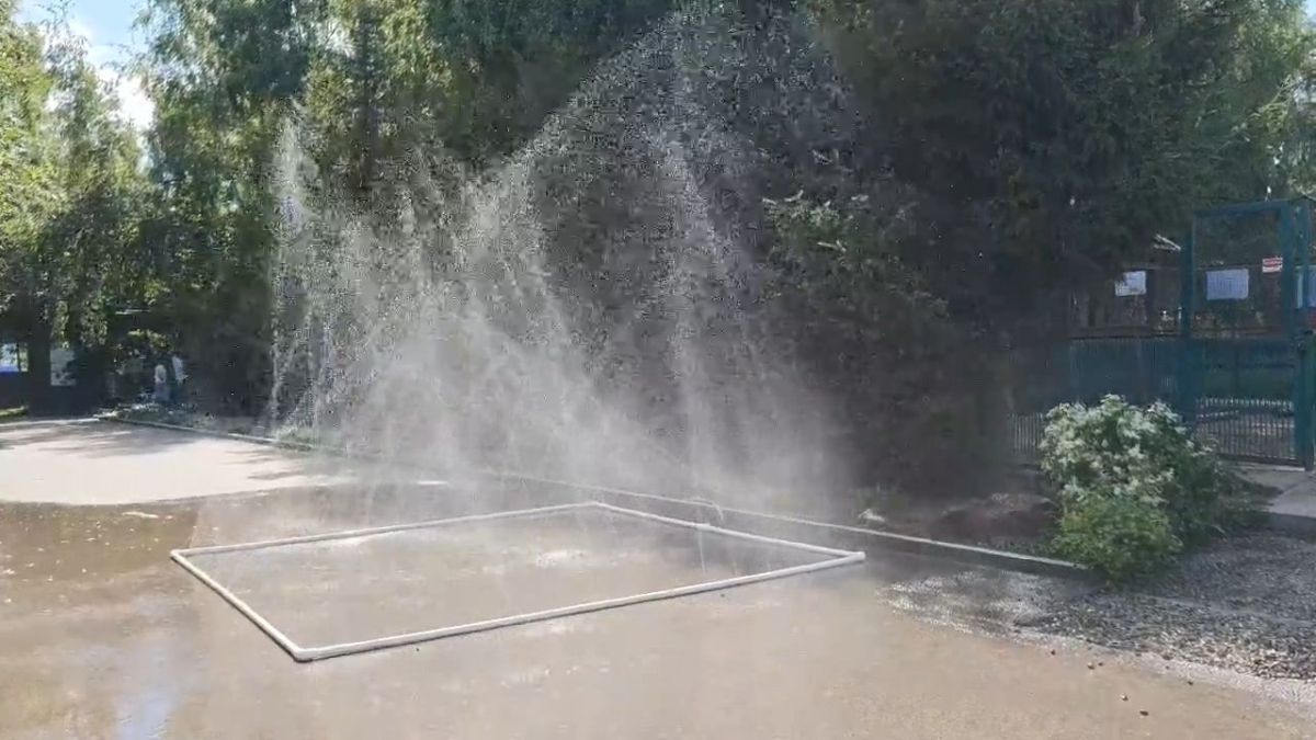Спасение от жары: в барнаульском зоопарке установили освежающие водные островки Спасение от жары: в барнаульском зоопарке установили освежающие водные островки