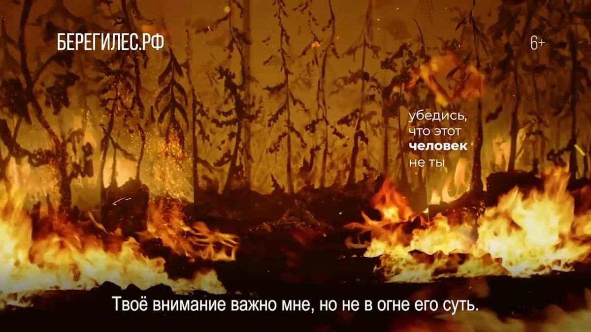 На профилактику и борьбу с лесными пожарами в 2026 году выделено рекордное финансирование