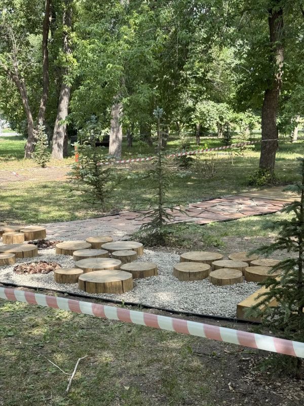 Сенсорная тропа в парке "Изумрудный" откроется уже совсем скоро Сенсорная тропа в парке "Изумрудный" откроется уже совсем скоро
