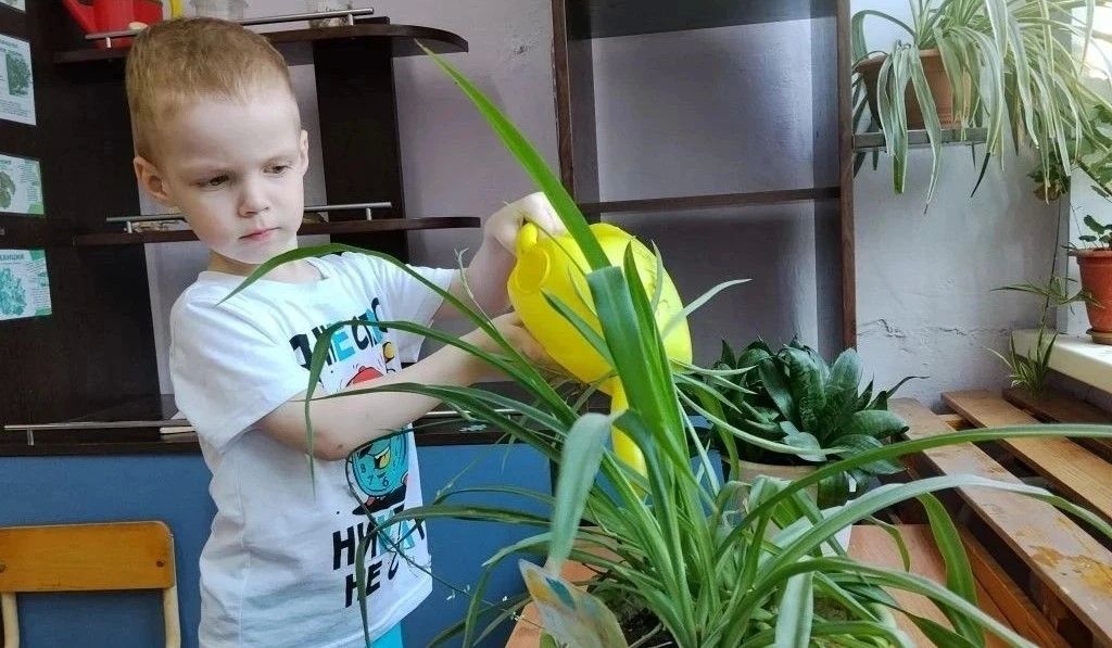 Барнаульские дошкольники получают первые уроки трудового воспитания Барнаульские дошкольники получают первые уроки трудового воспитания