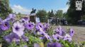 Как прошел в парке Гаркавого День семьи, любви и верности - в нашем видео