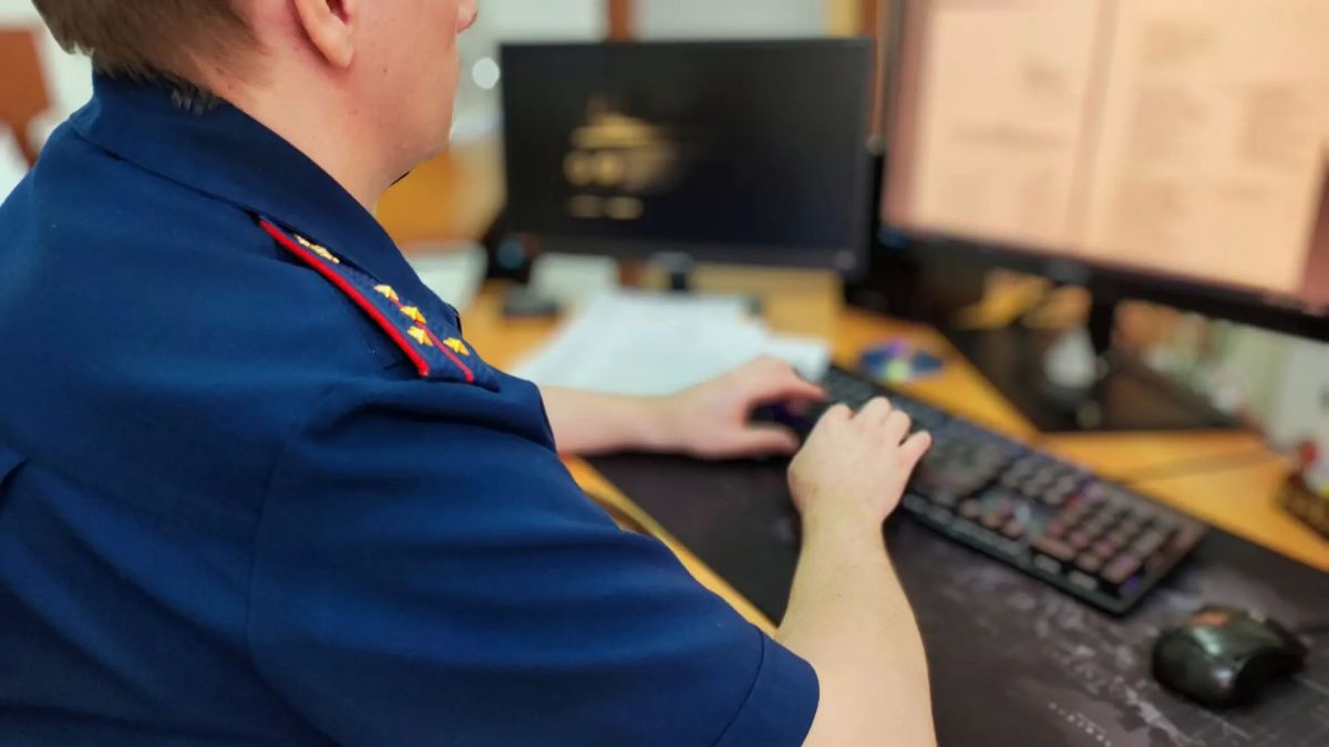 В Поспелихинском районе несовершеннолетний предстал перед судом за кражу телефона и хищение денежных средств с банковского счета