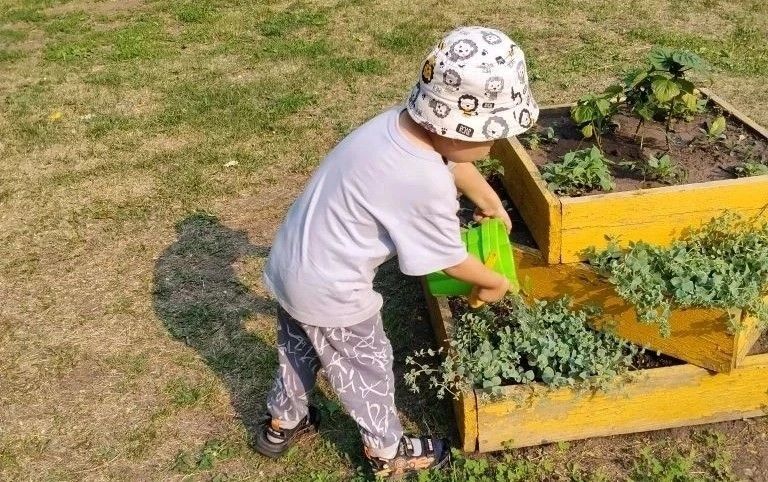 Барнаульские дошкольники получают первые уроки трудового воспитания Барнаульские дошкольники получают первые уроки трудового воспитания