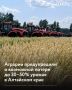 Урожайность пшеницы, рапса, гречихи и ячменя в этом году может оказаться на 30–50% ниже прошлогодней, сообщают сельхозпроизводители Алтайского края