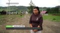 ������� � ���� ��������� ������� ���� �������� �������������