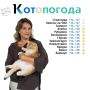 Знакомьтесь с новыми ведущими «Котопогоды» на телеканале «Катунь 24»!
