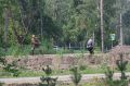 В Барнауле продолжают преображать зеленую зону между улицами Ленинградской, Энтузиастов и Антона Петрова, известную горожанам как бывший парк имени В.И. Ленина