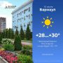 Жарко будет 15 июля на территории Барнаула