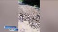 Жители Кытмановского района жалуются на состояние дорог