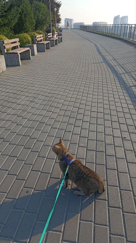 Наши подписчики поделились последним фото с телефона, которое они сняли потому что было красиво Наши подписчики поделились последним фото с телефона, которое они сняли потому что было красиво