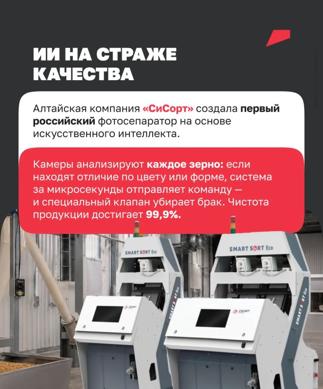 Как нейросети помогают растить пшеницу Как нейросети помогают растить пшеницу