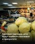 Автомобили, задействованные в поставках продуктов питания для крупных торговых сетей, будут снабжать топливом в приоритетном порядке, заявил "Вестям" зампредседателя правительства РФ Александр Новак