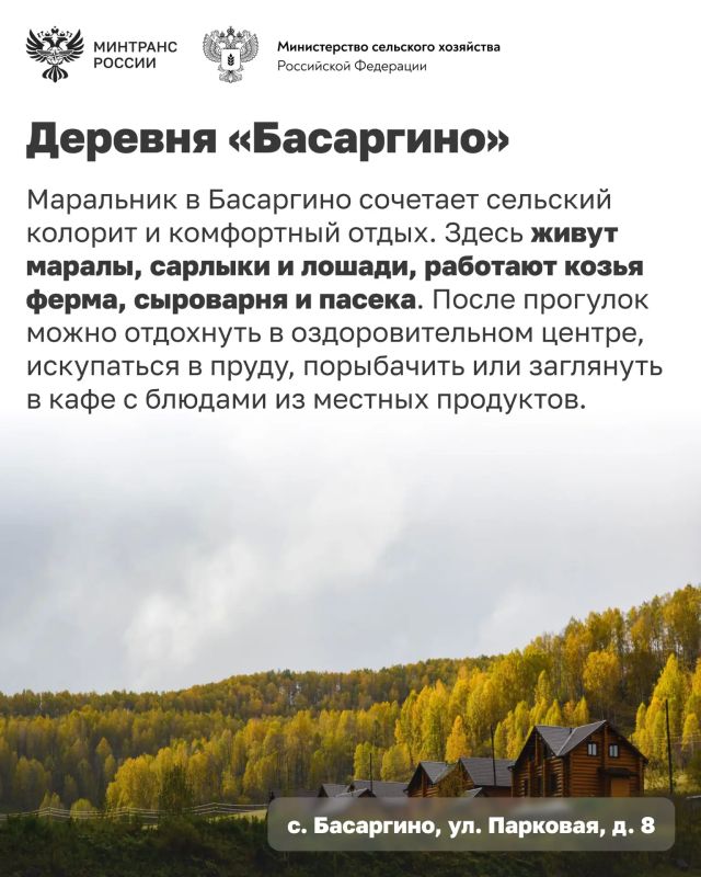 Едете в Алтайский край? Добавьте эти места в свой маршрут Едете в Алтайский край? Добавьте эти места в свой маршрут