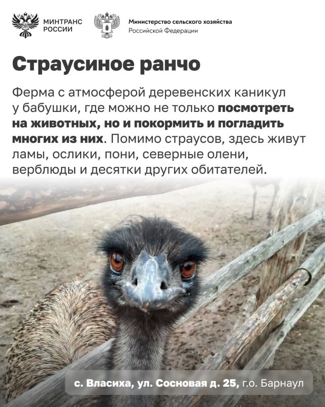 Едете в Алтайский край? Добавьте эти места в свой маршрут Едете в Алтайский край? Добавьте эти места в свой маршрут