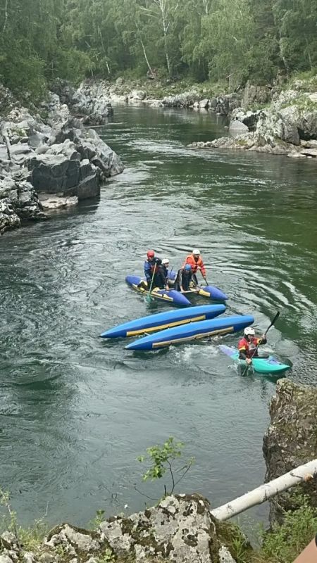 Почти все медали фестиваля «Кумир-2026» завоевали водники Алтайского края