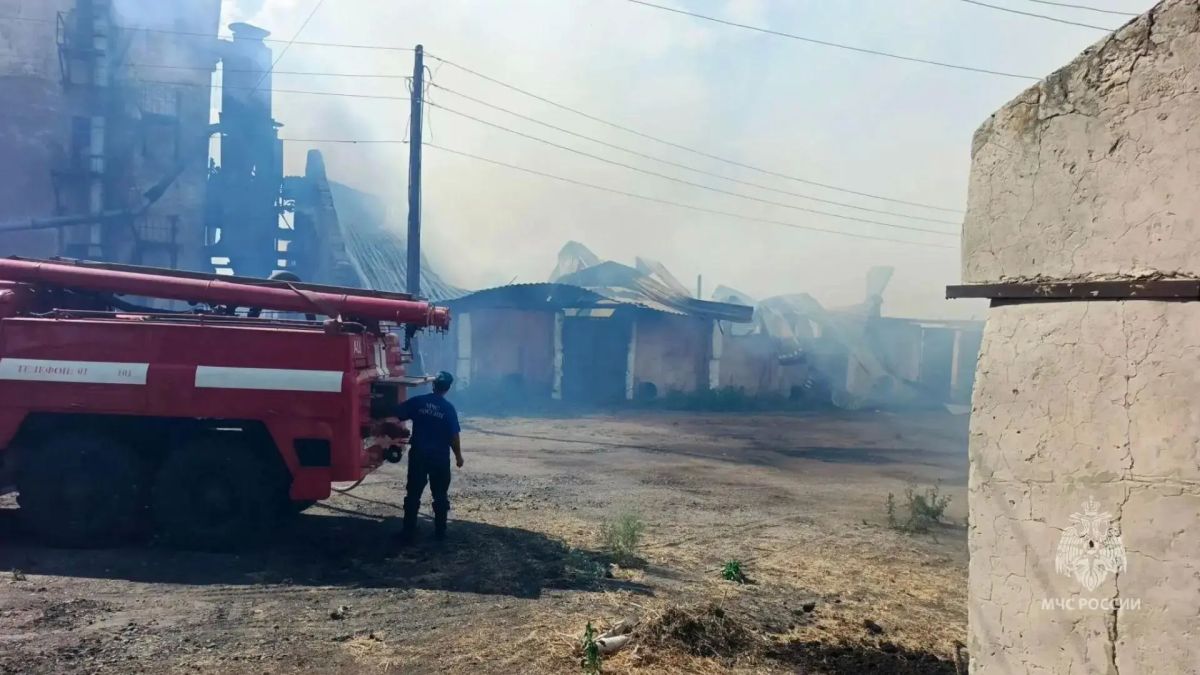 В одном из сел Алтайского края произошел серьезный пожар на сельхозпредприятии В одном из сел Алтайского края произошел серьезный пожар на сельхозпредприятии
