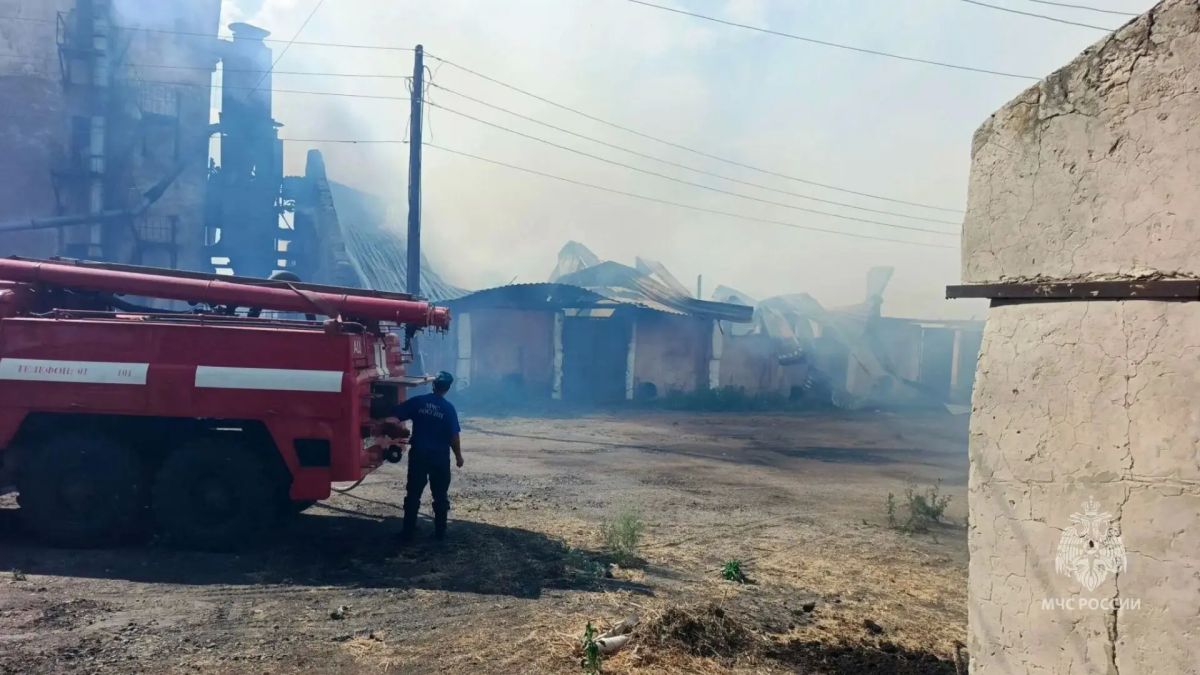 Локализован серьёзный пожар в Новичихинском районе Локализован серьёзный пожар в Новичихинском районе
