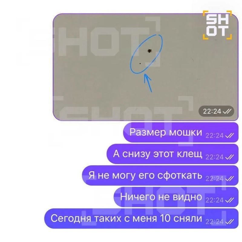 России участились случаи обращений к врачам из-за укусов микроклещей, сообщает Shot. России участились случаи обращений к врачам из-за укусов микроклещей, сообщает Shot.