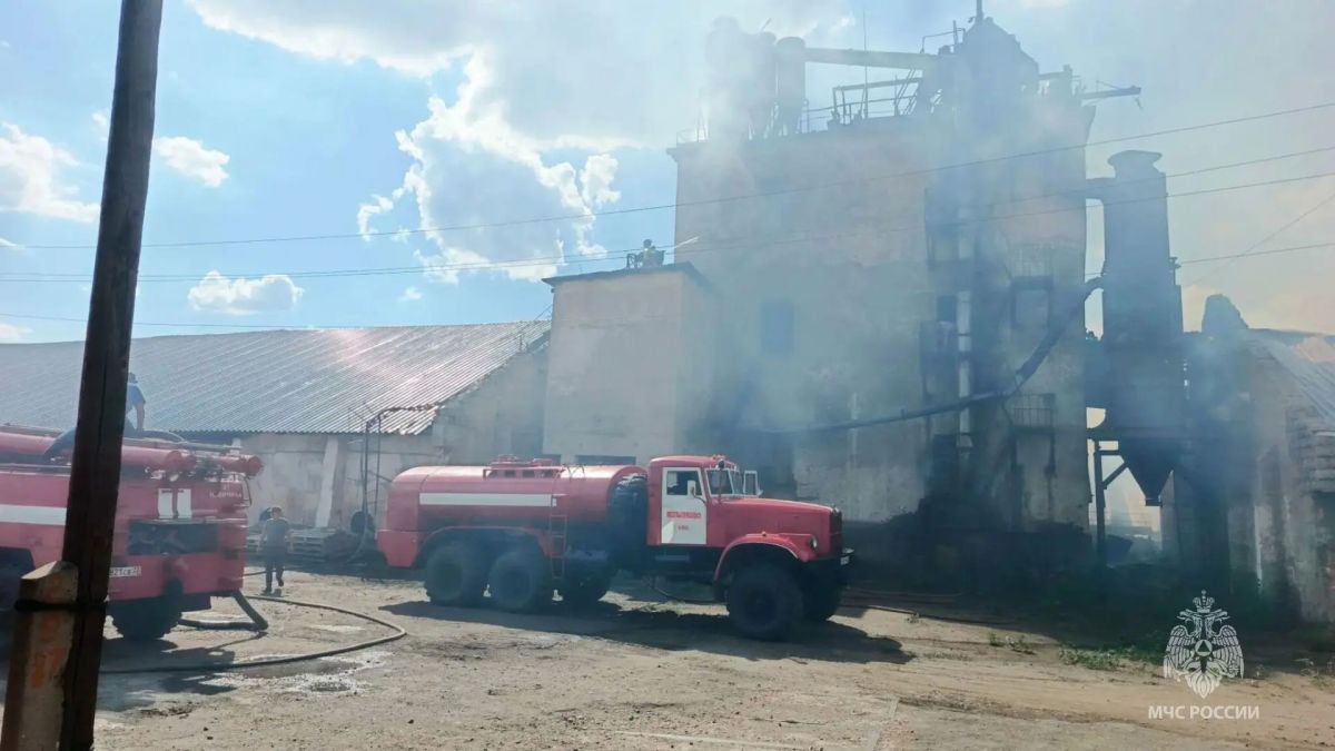 Локализован серьёзный пожар в Новичихинском районе Локализован серьёзный пожар в Новичихинском районе