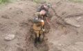Барнаульские школьники ищут останки красноармейцев в Ленинградской области